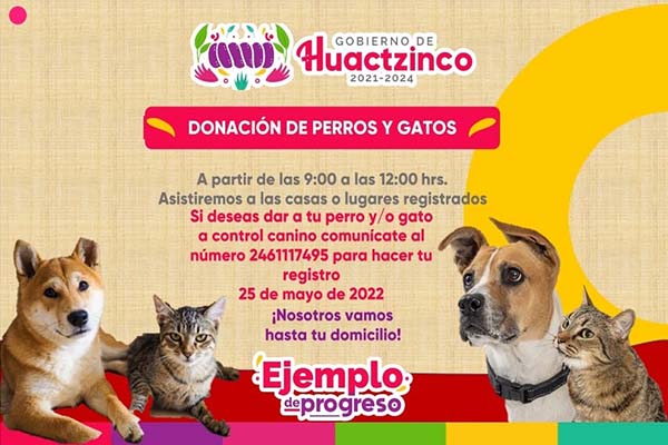 Campaña de donación de perritos y gatitos