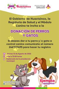 Campañam de donación de perros y gatos