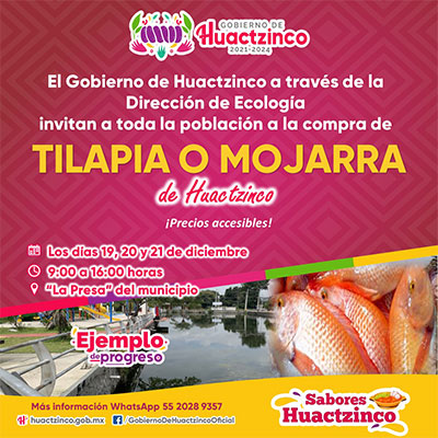 Tilapia o mojarra a precios accesibles en Huactzinco