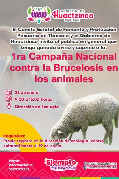 Primera Campaña Nacional contra la Brucelosis en los animales
