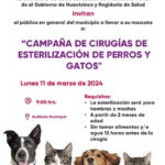 Campaña de cirugias y esterilización de perros y gatos