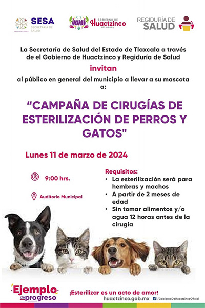 Campaña de cirugias y esterilización de perros y gatos